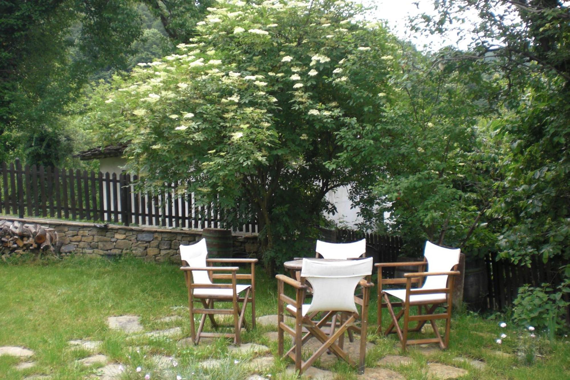 Stefanina Guesthouse 보젠치 외부 사진