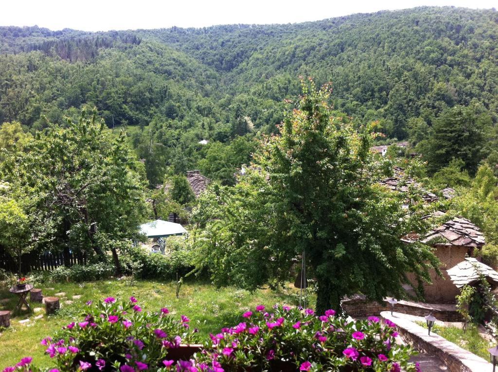 Stefanina Guesthouse 보젠치 외부 사진