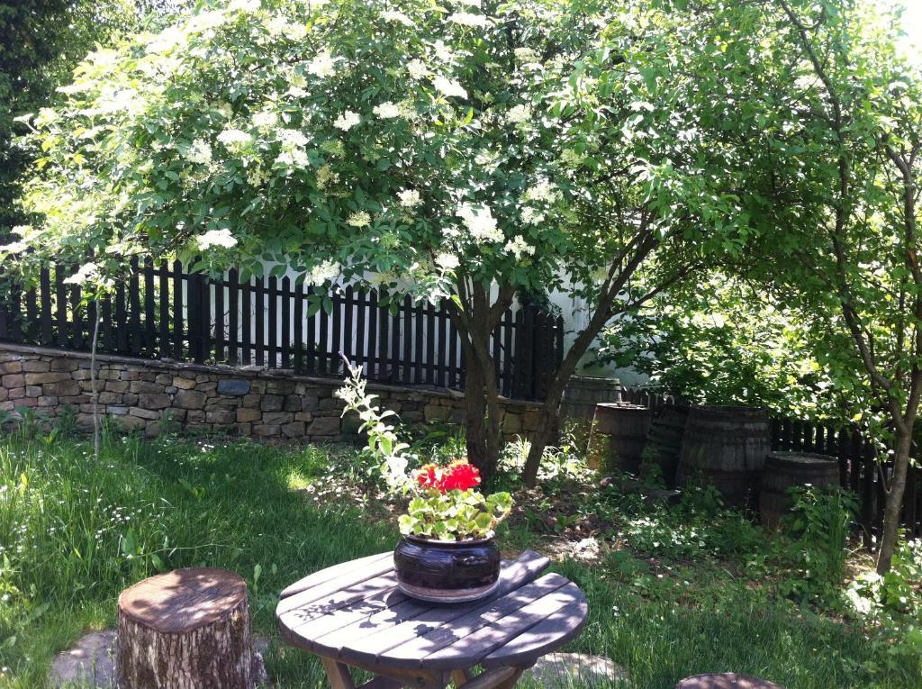 Stefanina Guesthouse 보젠치 외부 사진